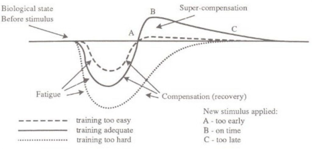 How exercise intensity and recovery relate to training adaptation 