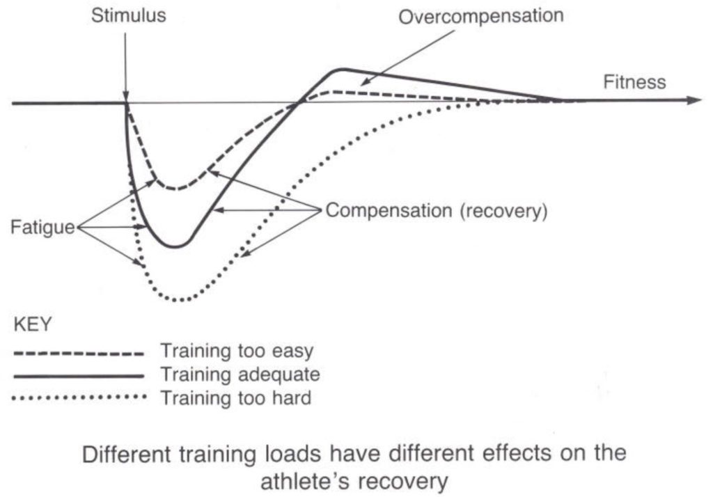 Exercise intensity and recovery