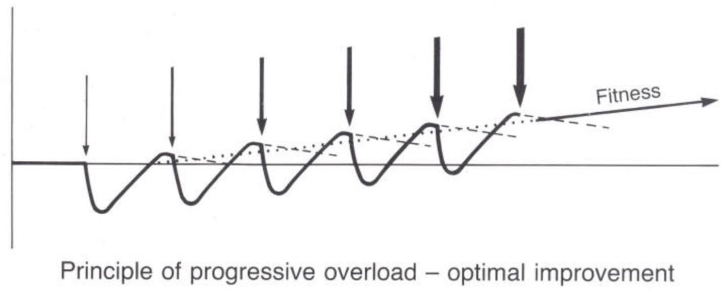 The law of progressive overload